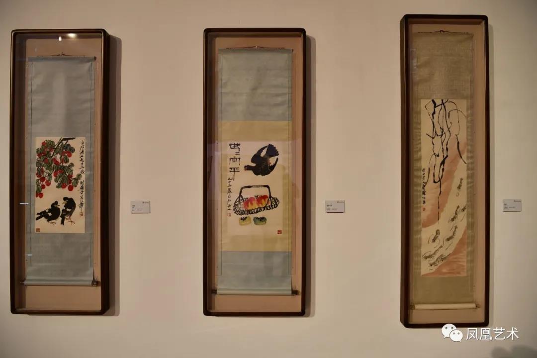 中展11